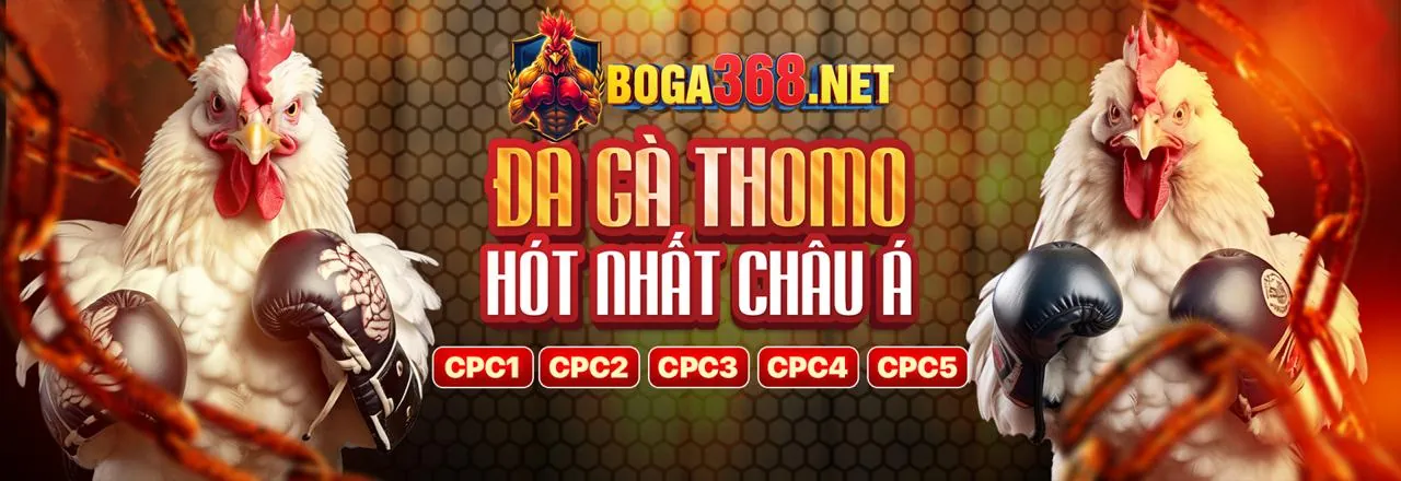 Đá gà trực tiếp tại f1680 nhà cái