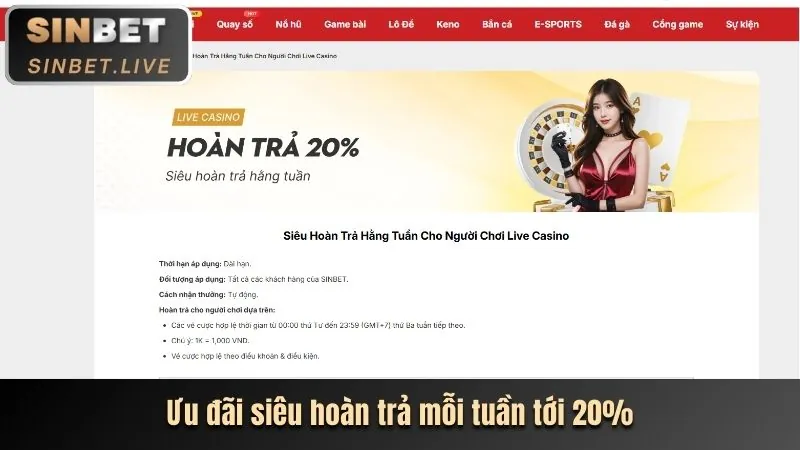 Ưu đãi đặc biệt cho thành viên VIP